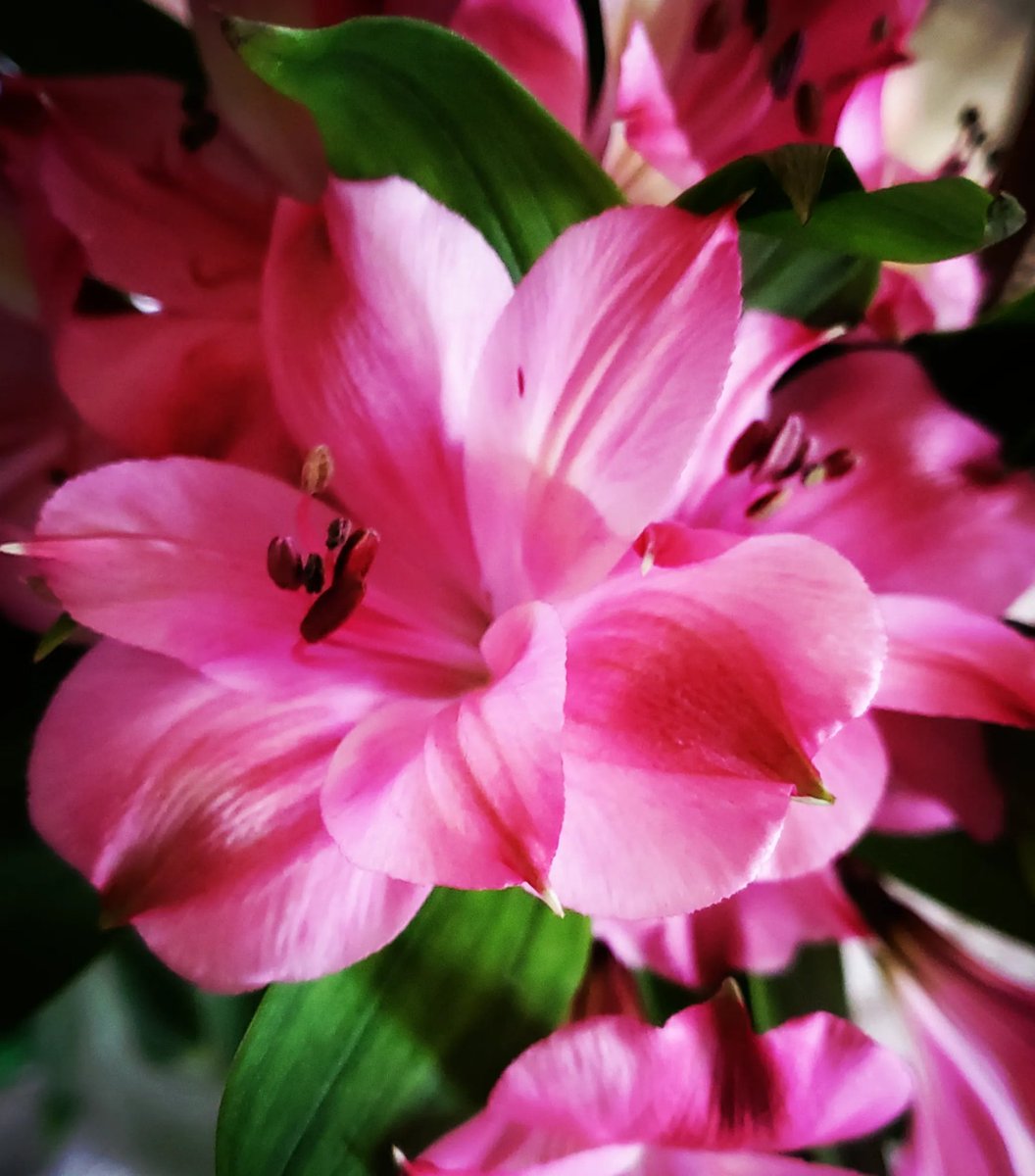 ThatsJustPunny's tweet photo. @deepak8597 #EmptyOutTheNegative #PositiveVibesOnly #PowerOfPositivity #BeKind #Artist #NaturePhotography https://t.co/VmDTDAoh5H