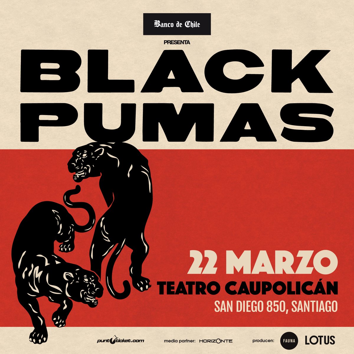 black pumas