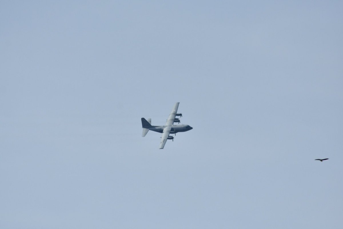 bizjetsofwar's tweet photo. A RNLAF (🇳🇱) C-130 Hercules made a surprise flypast over my house today! 

NAF71 // G-988 // #480C06 https://t.co/Z6AgtO53aD