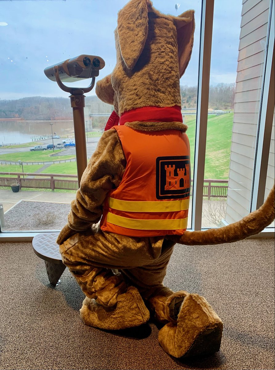 usacetulsa's tweet photo. It’s #tackleboxtuesday and Bobber is on the lookout for people wearing their life jackets. He wants to remind you to always wear them when you are on or near the water. #lifejacketssavelives #wearit #LifeJacketWornNobodyMourns #USACE #tulsadistrict https://t.co/rHR1l6XO7L