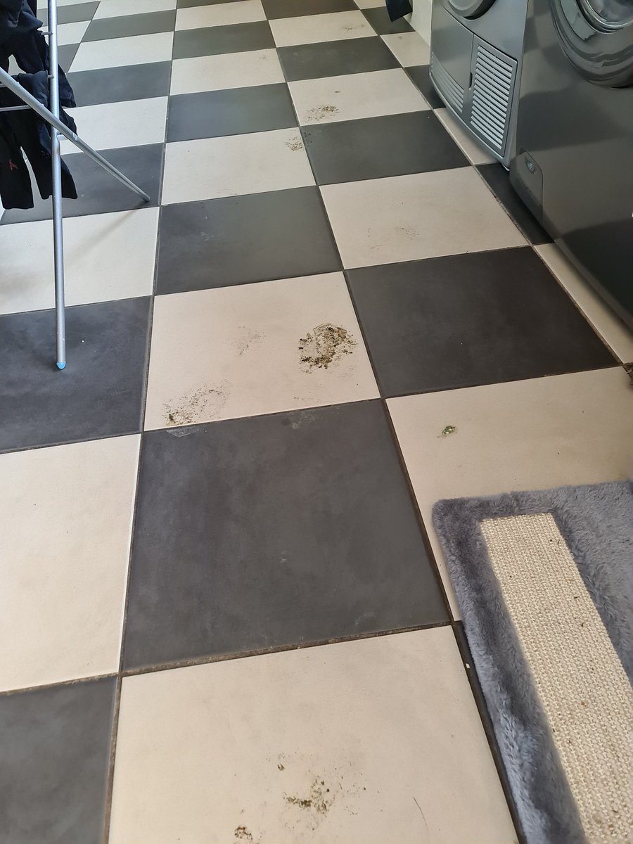 NickiyJones's tweet photo. #savvycirce #ad #dustitoff #FlashFamily @supersavvymeofficial!
I'm pretty sure they weren't expecting the floor to be this dirty when they asked me to test the new flash mop. https://t.co/e0CDHEiEdN