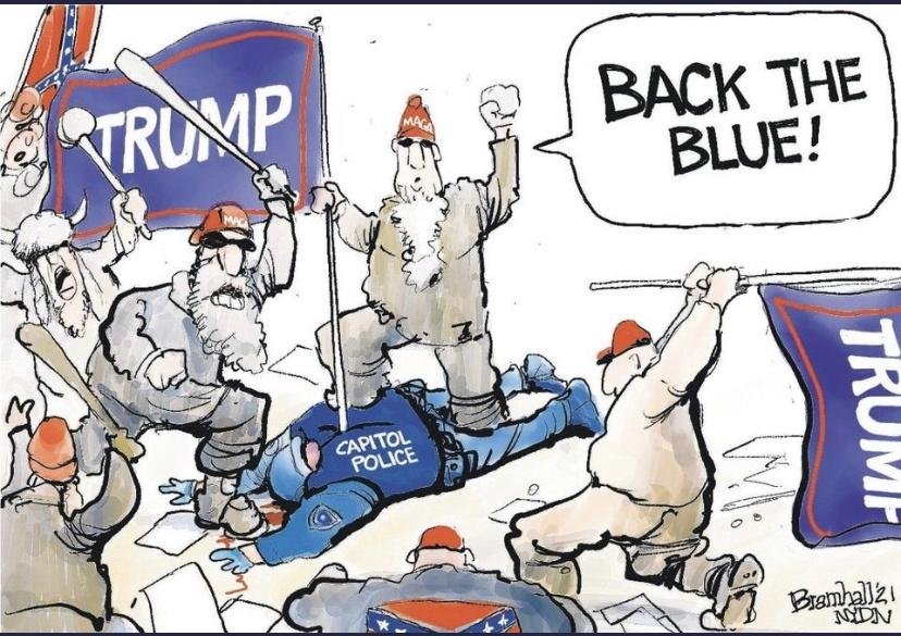 infosec_jcp's tweet photo. @hedgehogerb @JustEllieKY @ZTPetrizzo They made illustrated cartoon(s) also calling out the 1984'ism they were pushing #TFDG #January6thInsurrection ๐จโโ๏ธ๐ฉโโ๏ธ. https://t.co/660BAxJruK