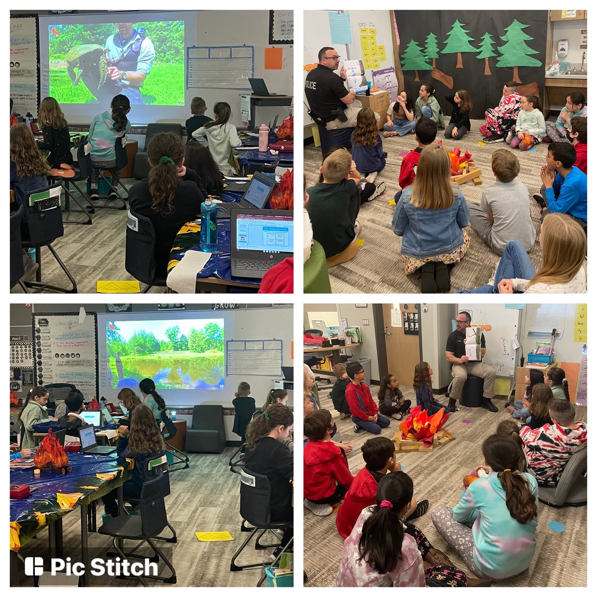 Another mystery reader joins us around our campfire🪵🔥. We also took a virtual field trip to the temperate forest habitat🌳🐢.