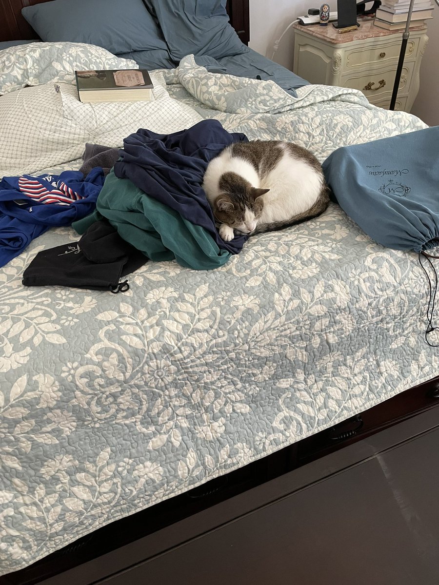 HelenDomestic's tweet photo. Helen here, helping sort clean laundry. https://t.co/aNTHBHJPTy