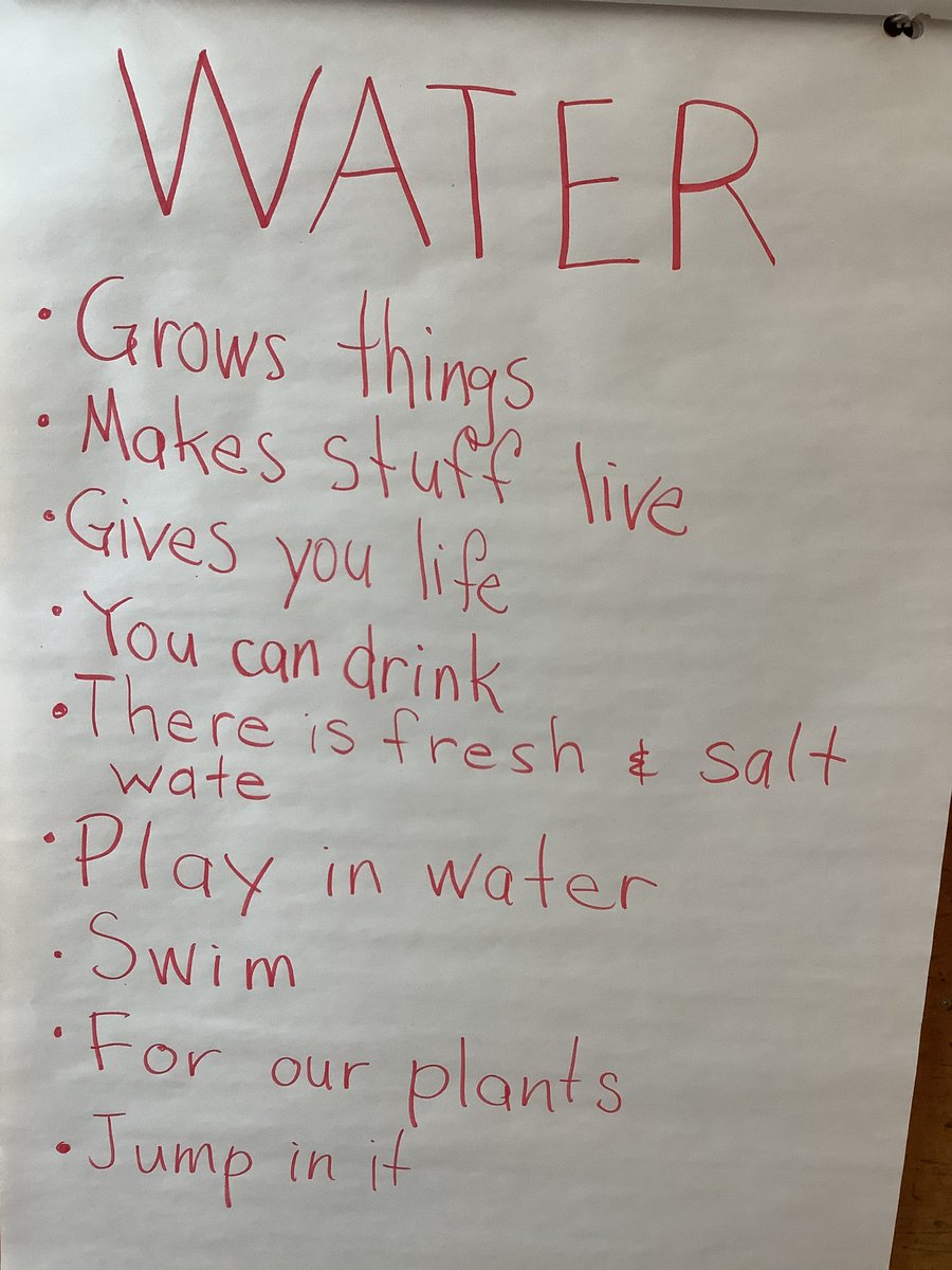 JBrentECE's tweet photo. Our #WorldWaterDay chat continued this afternoon. How can we drink water from puddles, rivers and lakes? What about the #GroundWater? Can we drink it? Can you guess what we’ll be doing in the wonderful world of kindergarten @DrDSuzukiSchool? #WaterInquiry https://t.co/FGcRkW0fVf