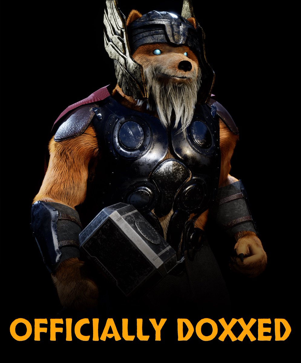 Our team just received the official DOXXING CERTIFICATE 🔥 Check it out in our discord (link in bio) 

#shibavikings #nft #shibarmy