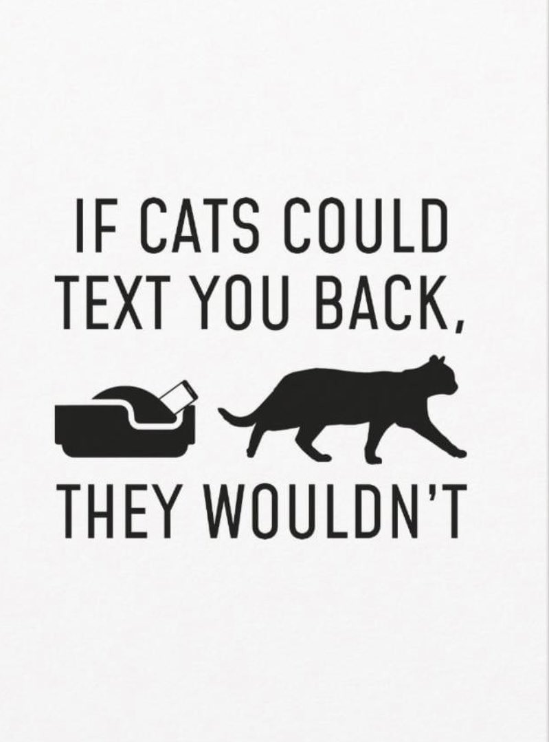 terrye_thorp's tweet image. In case you were wondering or needed clarification……#theywouldnt #cats #textback #nope