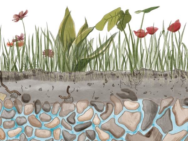 k_klau's tweet photo. Proud to be part of the #Water community today on #WorldWaterDay & everyday.This year's theme is #Groundwater.We need leaders & communities to elevate priority on Water stewardship, innovation & impact. Excited to read @water book #TheWorthofWater 3/29. #WeCanDoThis #WaterBuilds https://t.co/wn5Luk3Pgy