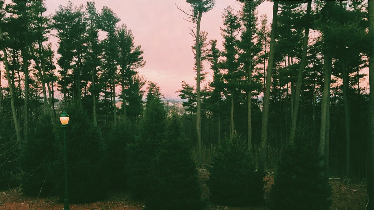 Lily 💙💛 tweet media