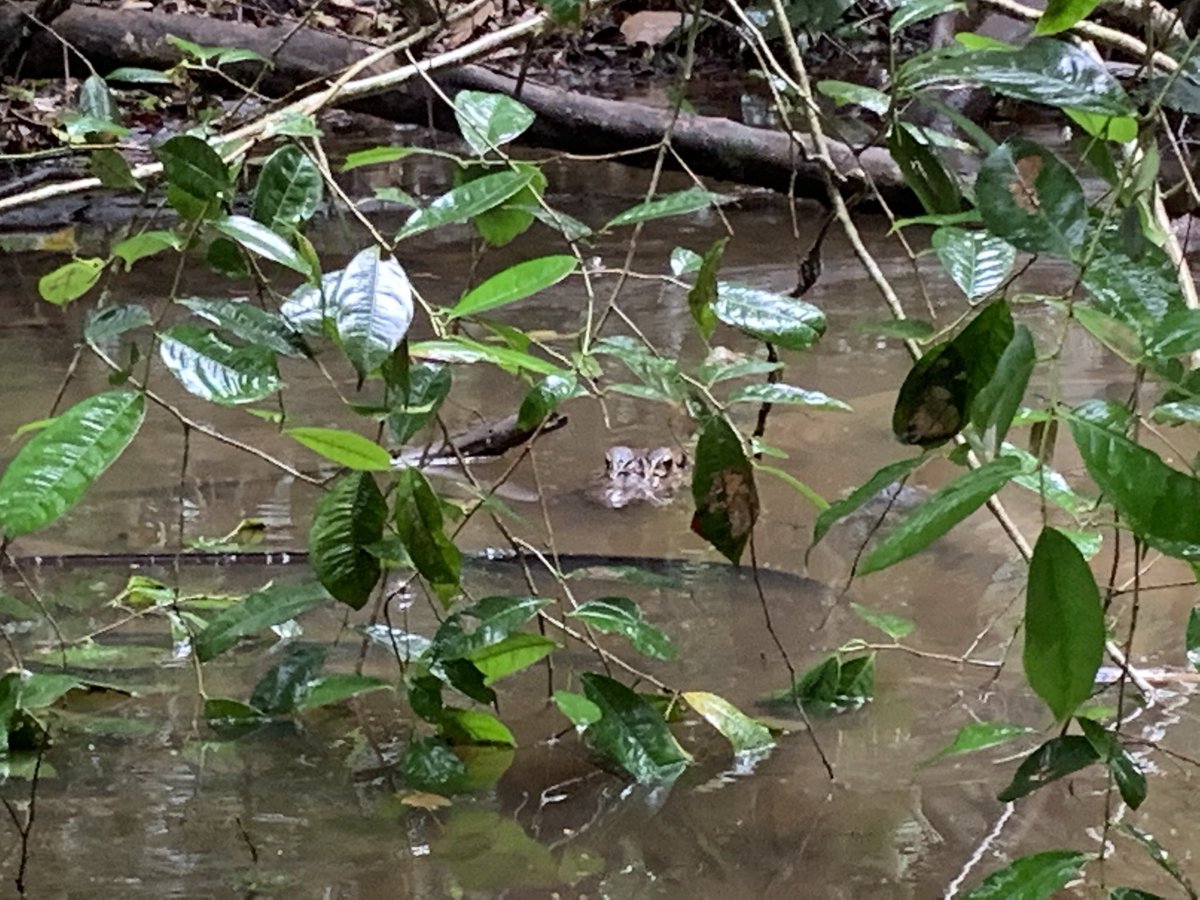 OPastorP's tweet photo. El agua guarda sus secretos, nos toca descubrirlos, Feliz día del agua a  todos los que hacen más fácil la vida con Agua https://t.co/mH37XHSEoc