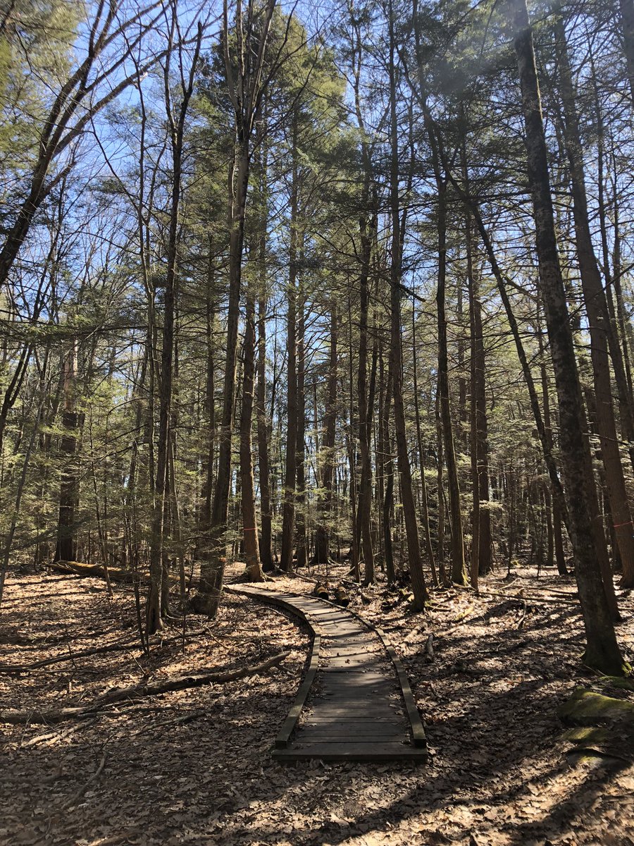 Thank you <a href="/efcar/">Emma Tutein</a> for a lovely walking meeting in College Woods! It was great to catch up on <a href="/trailfindervt/">Trail Finder</a> and other <a href="/UNHExtension/">UNH Extension</a> #natureeconomy work 🪵🌿
