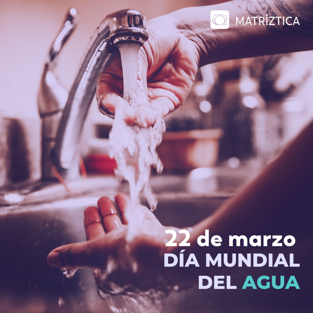 En el día mundial del Agua, les dejamos la siguiente reflexión: "Cuidar este bien tan preciado, y vivirlo como un regalo que nos da la naturaleza, es nuestra responsabilidad hoy en día. Donde hay vida hay agua, sin agua no hay vida". 🌎🌳

#DiaMundialdelAgua2022 💧