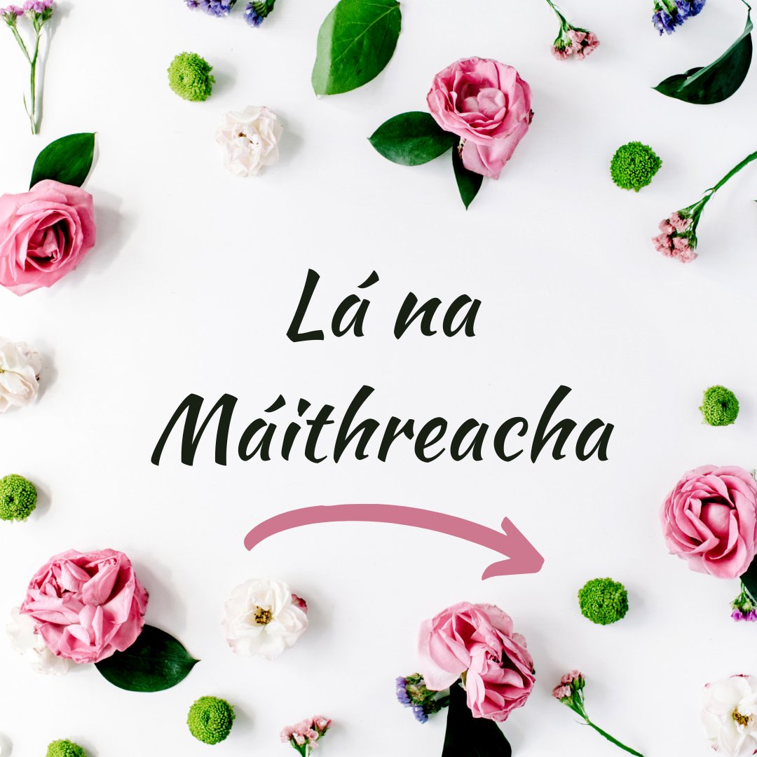 Siopa Údar tweet media