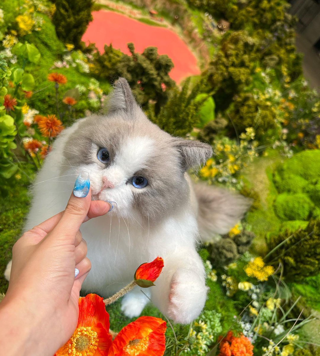 Azhae's tweet photo. Here's our Gentle Garden ❤ https://t.co/FTneBGs38T