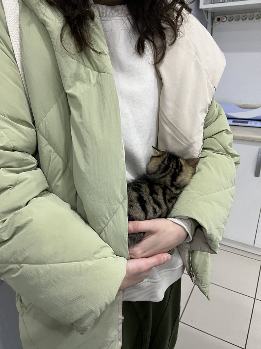 Meternerde annime sarlmaya mcbur kaldm offfff onu sefiorm sandı slk