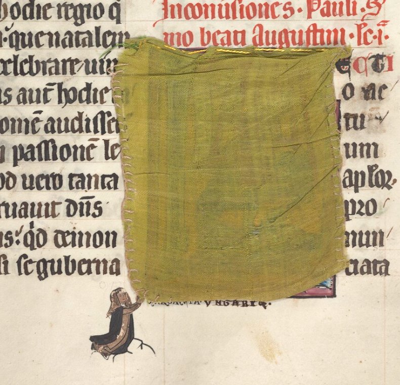 When the curtains are closed and you really really wanna take a peek....