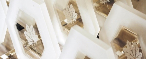 I had the honour today to award the highest recognition the CRA can offer to many <a href="/CanRevAgency/">Canada Revenue Agency</a> employees for their outstanding achievements. I am extremely proud to serve Canadians alongside such dedicated employees. Congratulations! #CRAExcellenceARC #ServCDNs