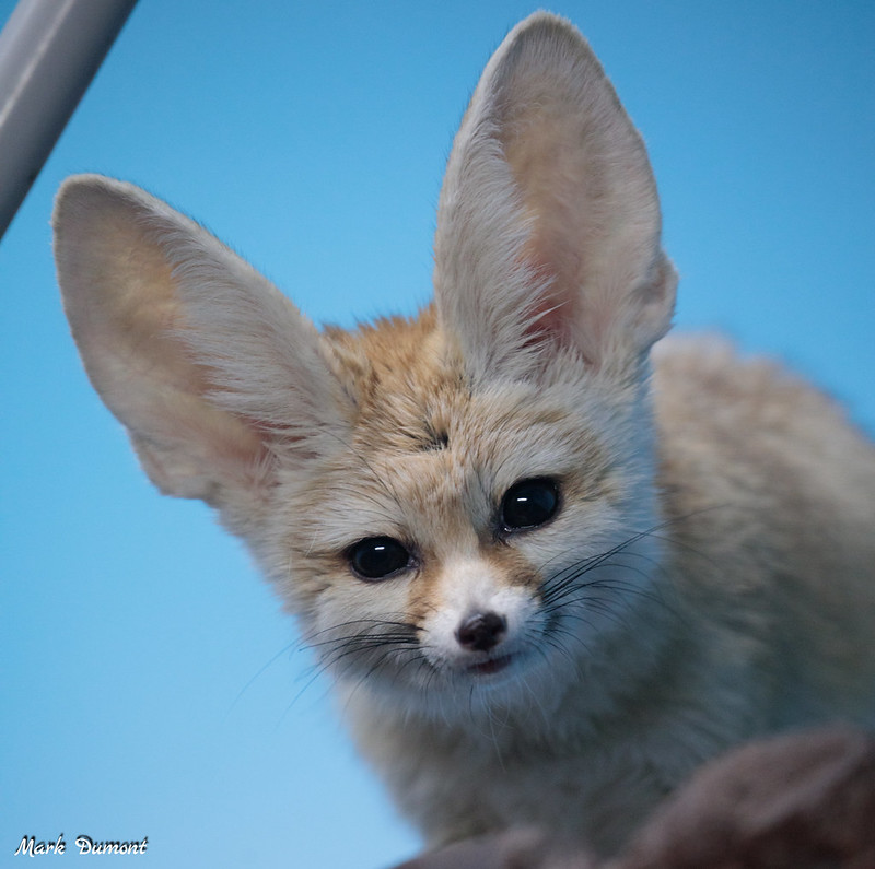 Cincinnati Zoo on Twitter: Cincinnati Zoo on Twitter: