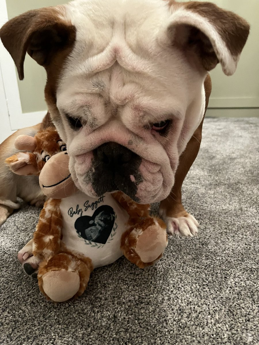 Bertha is really happy to be a big sister 😂😂