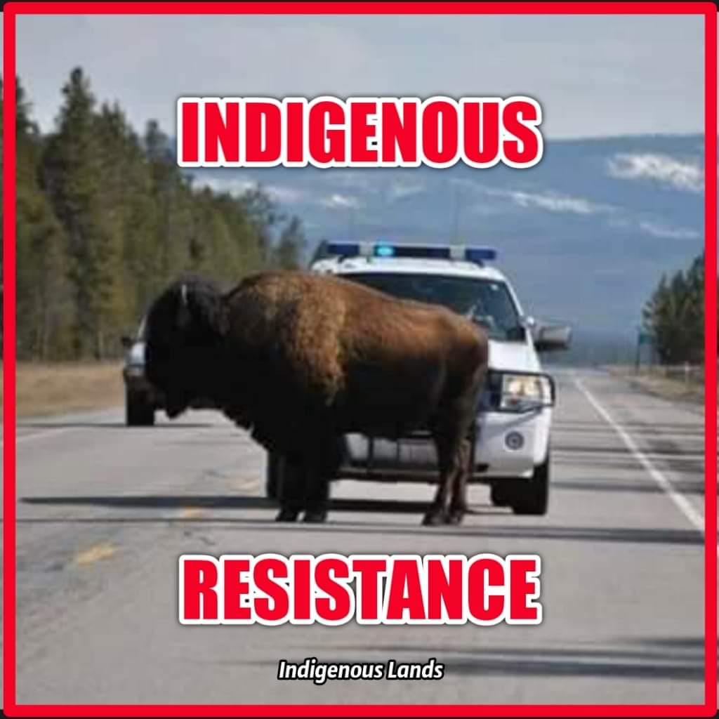 This is #Indigenous Lands.