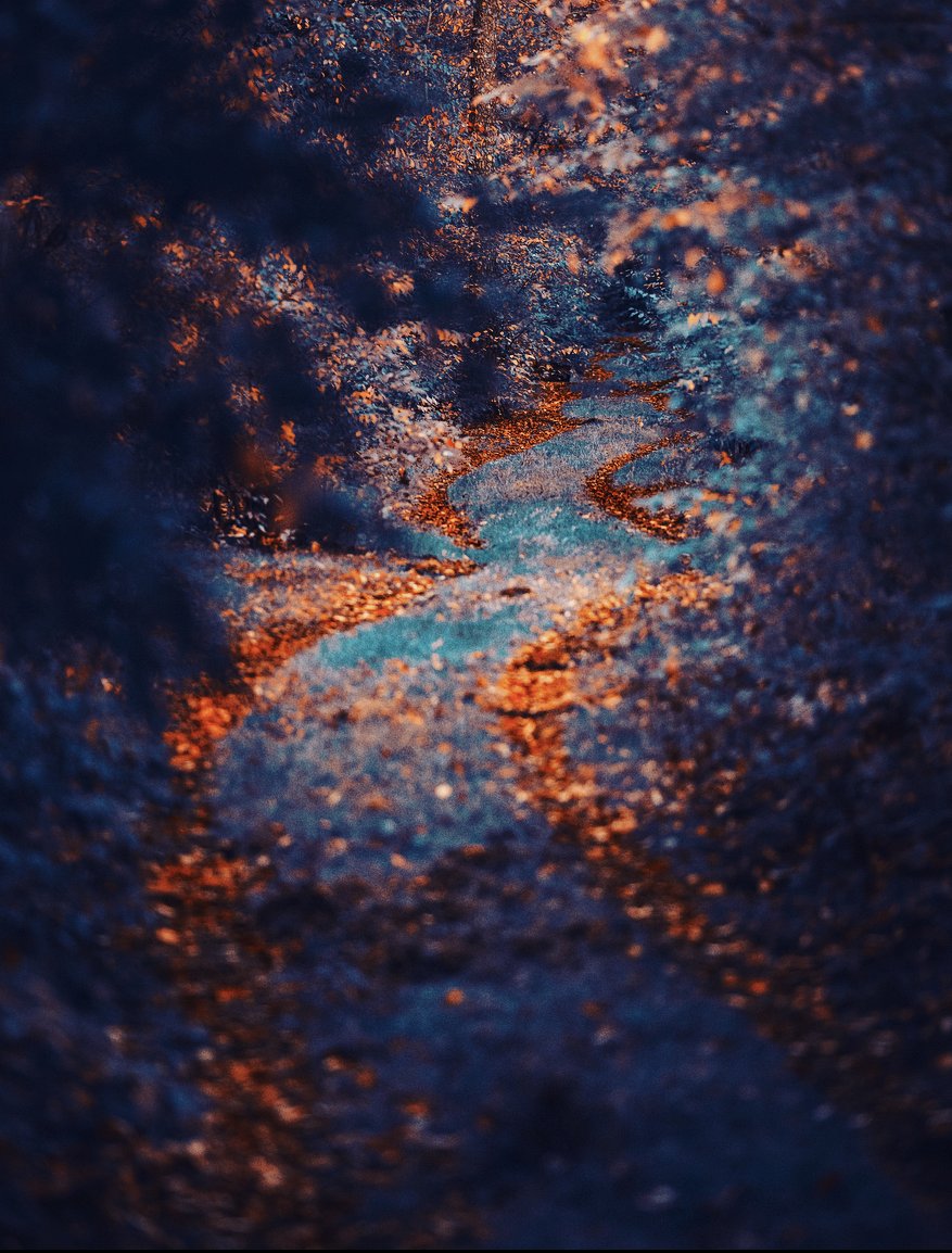 opensea.io/assets/0x495f9…
Do you hear the noise under my feet? do you see how the colors touch my heart?
 #nft #nftphotographer #nftcollectors #NFTCommunity #ETH <a href="/opensea/">OpenSea</a>