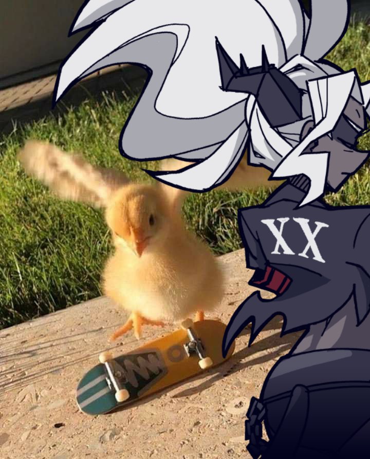 Chilling with the homie!!!!