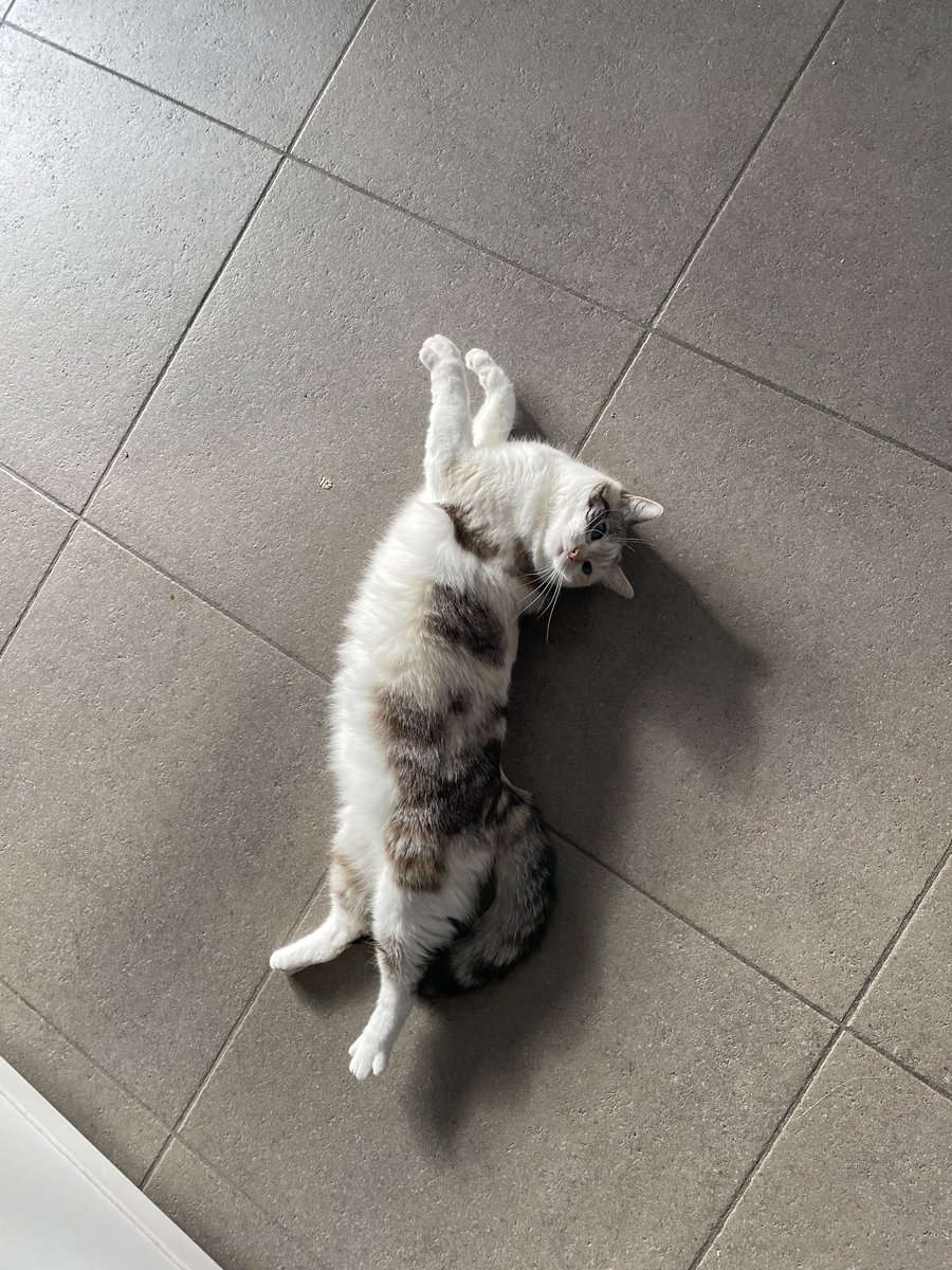 princess Lou tweet media