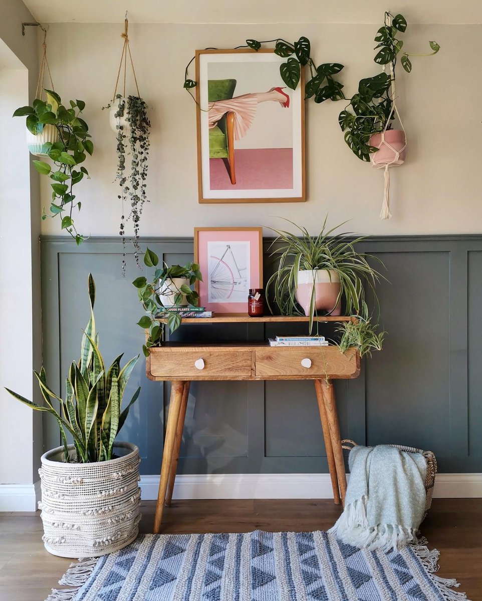 Plantsome_CA's tweet photo. Celebrating #trailingTuesday with @alexandralouisewu's vine-lookin' amigos 🍃
Which trailing plant are you after this spring? https://t.co/LZmJJ6vWNT