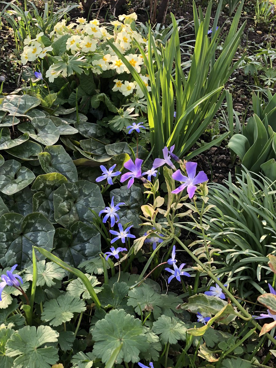 Jayne Rice tweet media