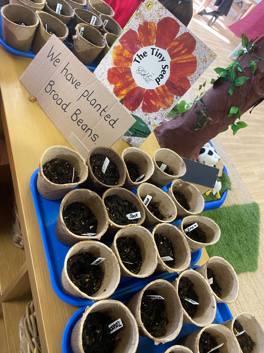 🍃🌻 
I’m sure the children in F1 would be able to tell you at home what important things a seed needs to grow ! ☀️💦
