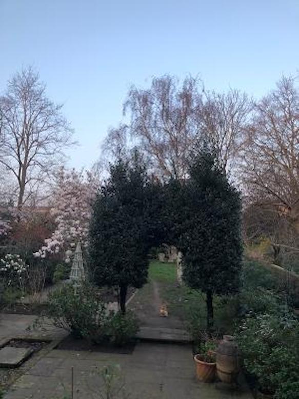 prodnose's tweet image. First time this year that me and Wendy have sat on the balcony overlooking the garden. Both got jumpers on now though. Still, might be here for a bit.