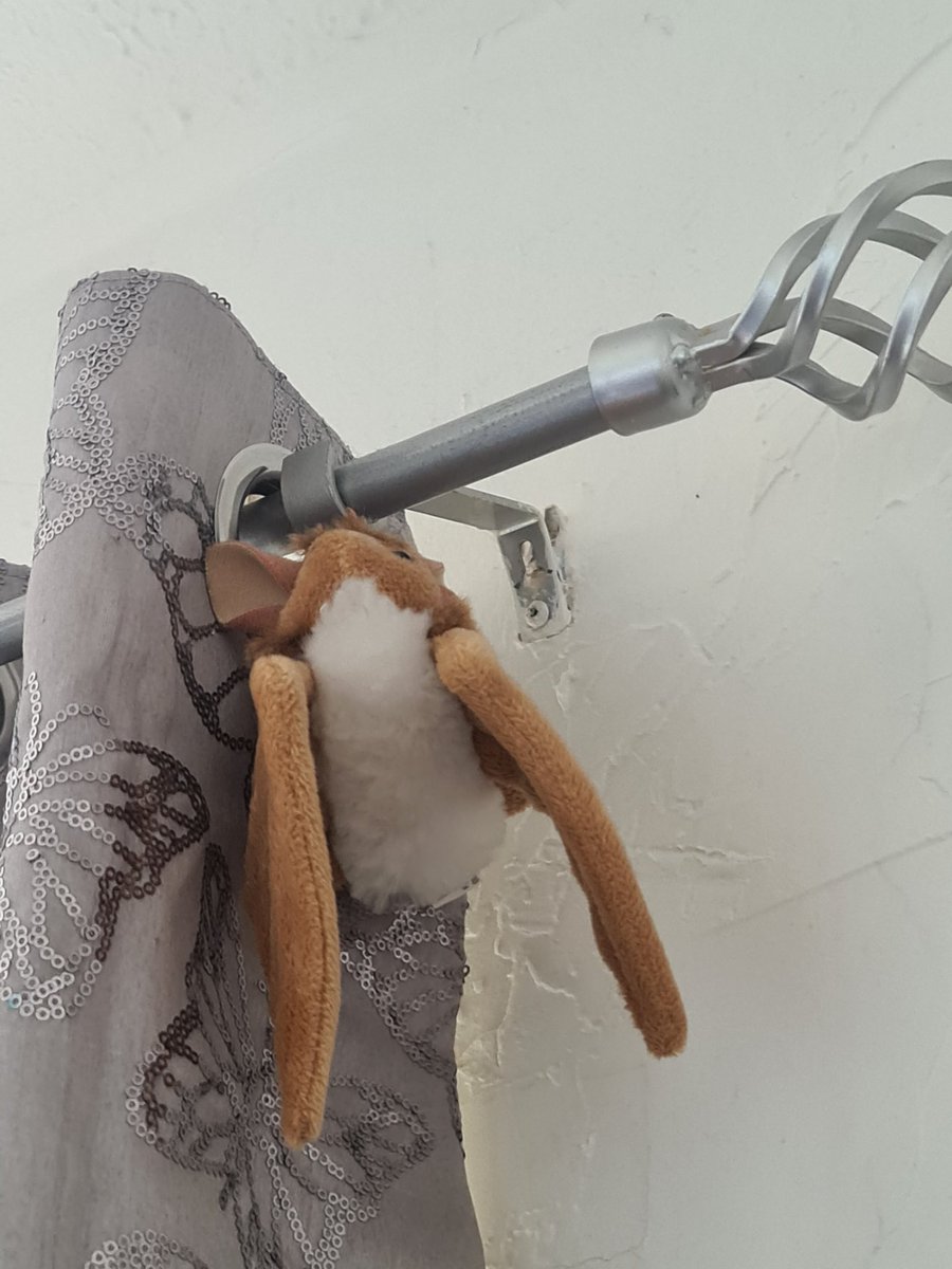 NickiyJones's tweet photo. Cobwebs were holding the curtain rail up and hiding the terrible plaster,made a good cat toy too. Not your usual reviewer 🤣#dustitoff #ADA #FlashFamily #savvycircle @supersavvymeofficial https://t.co/s6FGqsOGXY