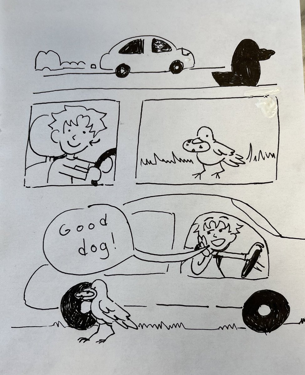 Cat called a bird eating an entire cookie the other day 