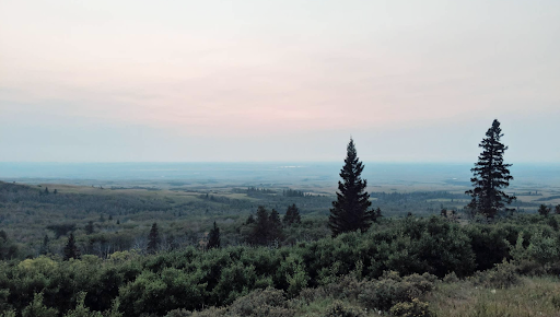 Measuring 1,281 metres, Bald Butte is the highest point in the Centre Block of the Cypress Hills Interprovincial Park. 🌲

Bald Butte and Lookout Point, located 1 km apart, offer park visitors spectacular, year-round views! 🌲 #theresortatcypresshills #cypresshills #saskparks