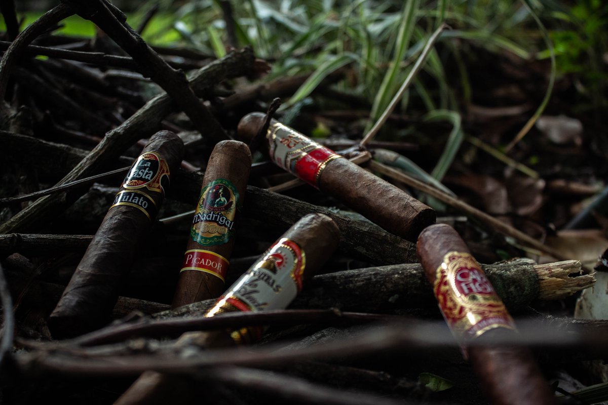 SantaClara1830's tweet photo. Santa Clara lleva la esencia del tabaco mexicano a todo el mundo,nuestros puros se encuentran disponibles en más de 20 países 🇦🇷 🇪🇸 🇫🇷 🇨🇭 🇳🇴 🇩🇰 🇳🇱 🇸🇰 🇭🇺
🇷🇴🇱🇹🇱🇻🇽🇰🇭🇷🇨🇾🇬🇧🇭🇰🇦🇪🇹🇼🇹🇭🇨🇬🇲🇩

Orgullosamente representantes de la magia del
tabaco #mexicano 🇲🇽 https://t.co/9BDDzuSdlc