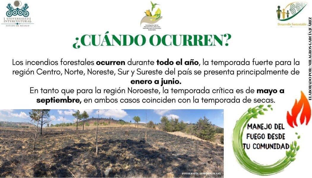 UIEMOficial's tweet photo. 🌱 La licenciatura en #DesarrolloSustentable, durante esta temporada de incendios 🔥, te invita a consultar el programa "Manejo de fuego desde tu comunidad" #NOQUEMA a cargo de la estudiante de octavo semestre, Milagros García Juárez #NOQUEMA
#SomosUIEM https://t.co/22tMnrWNgY