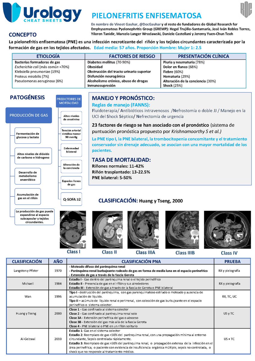 CheatUrology's tweet photo. #Emphysematouspyelonephritis is a necrotizing infection that results in gas within the renal parenchyma, collecting system, or perinephric tissue.  

Do you want to know more?

Don’t miss this #urologycheatsheet created by @DocGauhar!

https://t.co/9ZtcgmbOou

@ROC_Urologia https://t.co/kF7Q07mSku