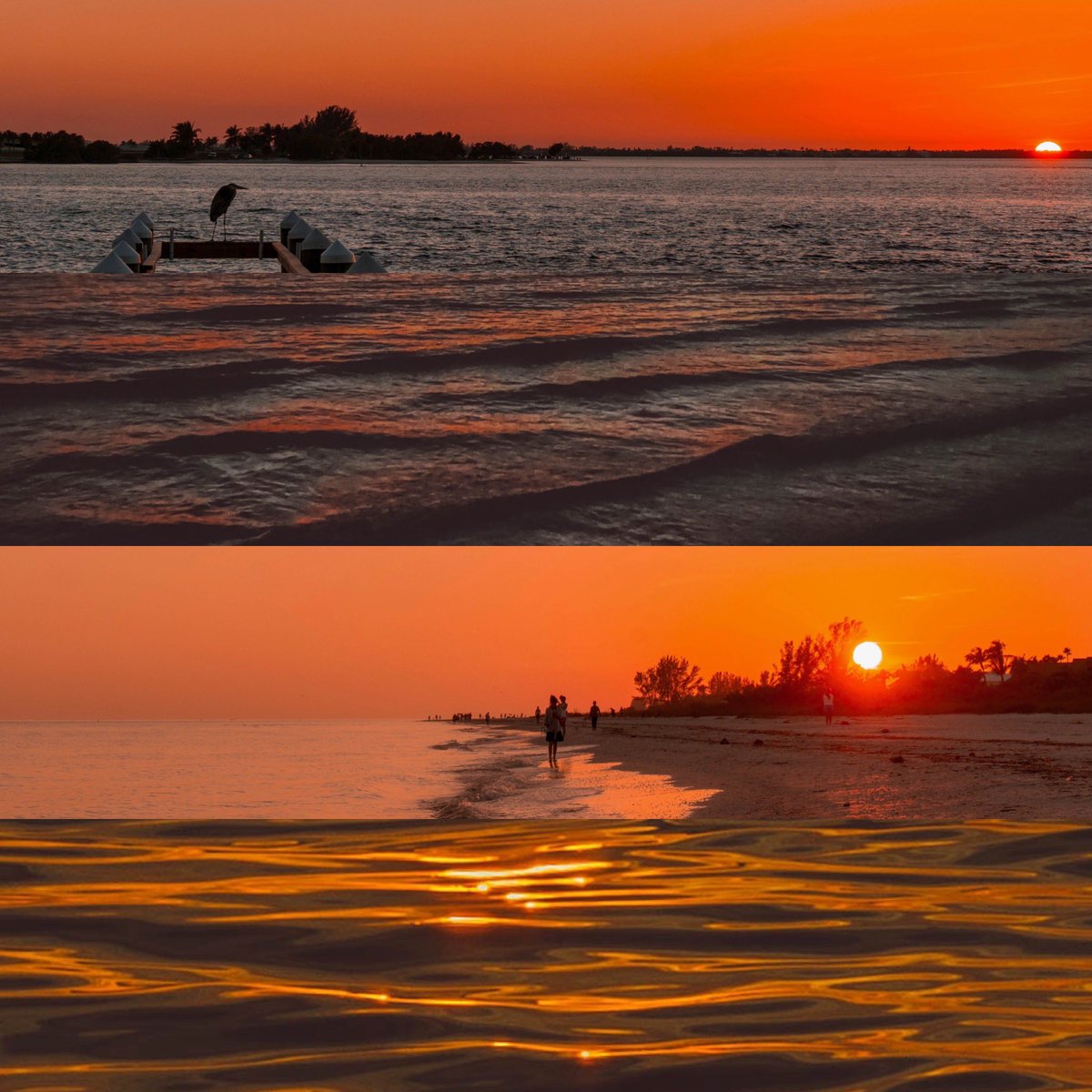GD 🌴🌅 I’ve been settling back since getting home from #Florida and I loved how these shots blend together 🙌 #nftphotography