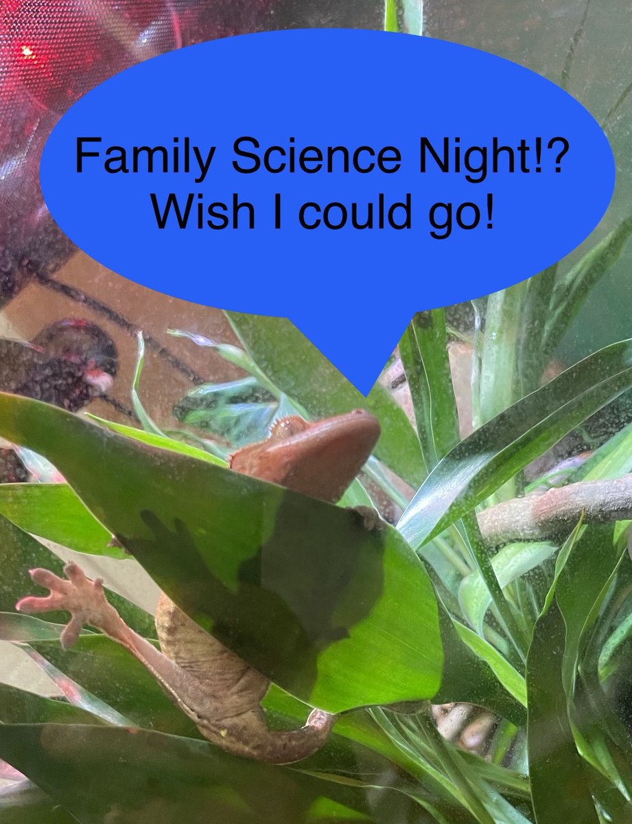 KWBPascal's tweet photo. Can’t wait to hear all about Family Science Night! #kwbpride https://t.co/5gybqTJWEf