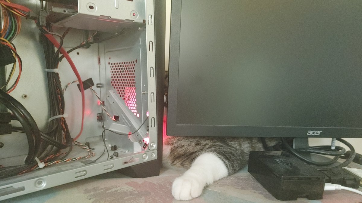 technobuddha's tweet photo. Now this! is a perfect #kittens #CatsOfTwitter #NFT ! Petee feel asleep while guarding my PC/Gaming/RVN Miner and my #rpi4b ! https://t.co/kD7gqadNPl