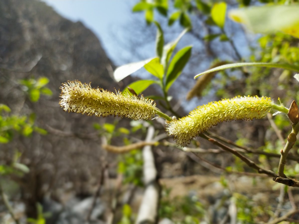 Qualitas4Health tweet media