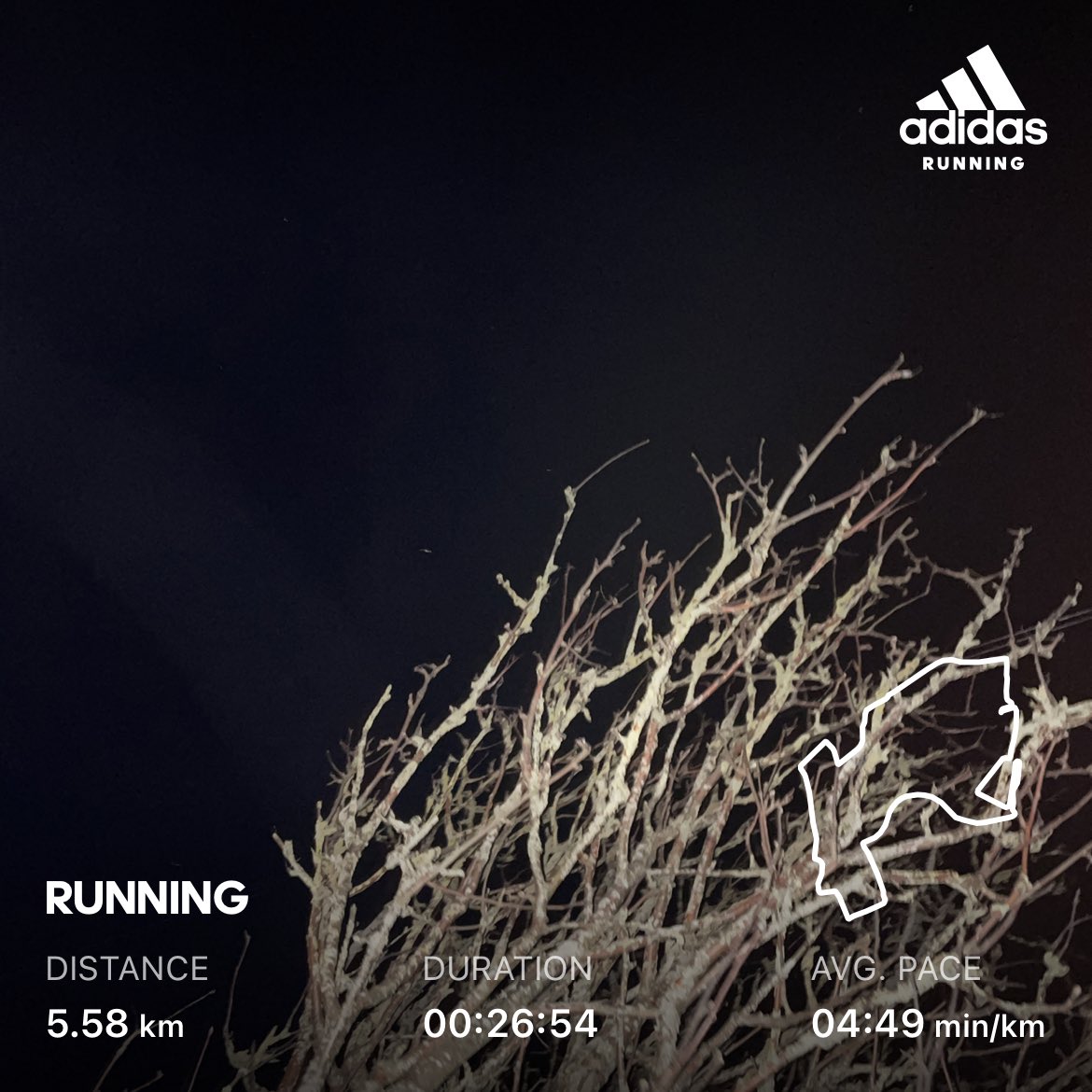 DenhamKite's tweet photo. A good 5.5km run after a hard day always helps clear the mind and refocus. Non-stop with providing opportunities for people; conversations with positive people and those that do to you; and if unsure, Covid is not over! @DavidLloydUK #DLRunClub #AlwaysSmiling #ItsTheOthers https://t.co/CvSO9Yh4o4