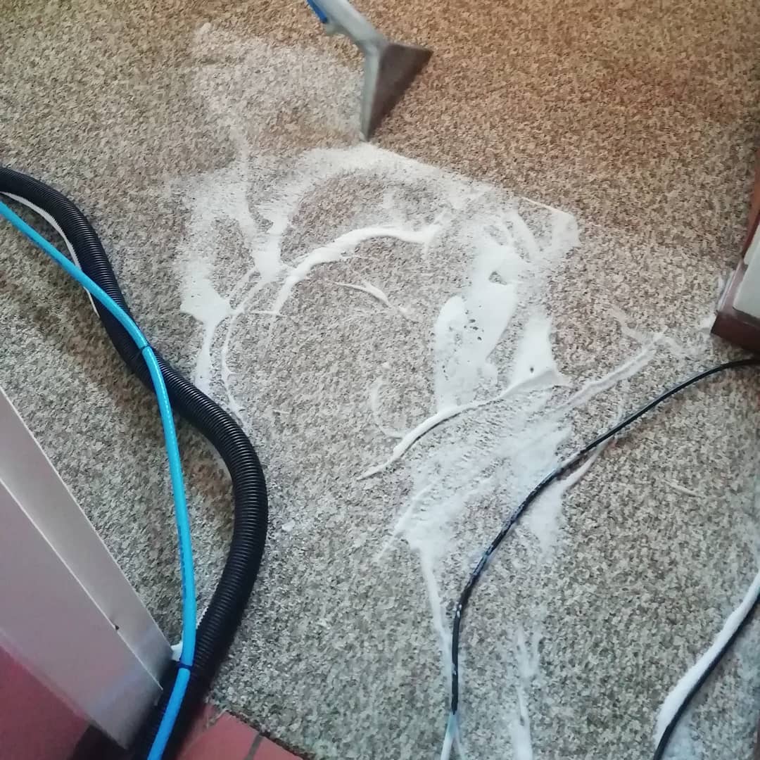 Evander_Group's tweet photo. We clean Carpets and all Upholstery services around Gauteng Areas.

Just dial
📲0763278611
📲0766308579 
#lockdown #Gash1 #taxi #bbmzansi #Johnmaputla #FamilyMeeting #gomoramzansi #musa #BusinessProposal https://t.co/u5GfaZUqoh