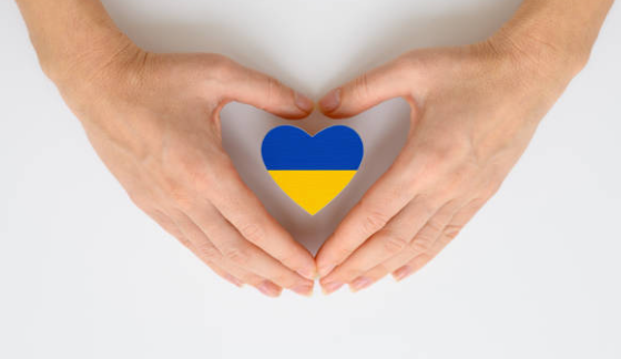 Eerste opvanglocatie voor vluchtelingen bekend. 32 plaatsen op korte termijn beschikbaar bij De Kleine Aarde.

Meer informatie ⤵️
boxtel.nl/nieuws/eerste-…