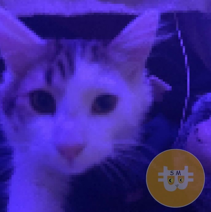 saylorcatmoon's tweet photo. 👀 #btc #tothemoon #cryptocurrency #MichaelSaylor #saylormoon #cryptocrash #Bitcoin https://t.co/AeFeJ8fo7H