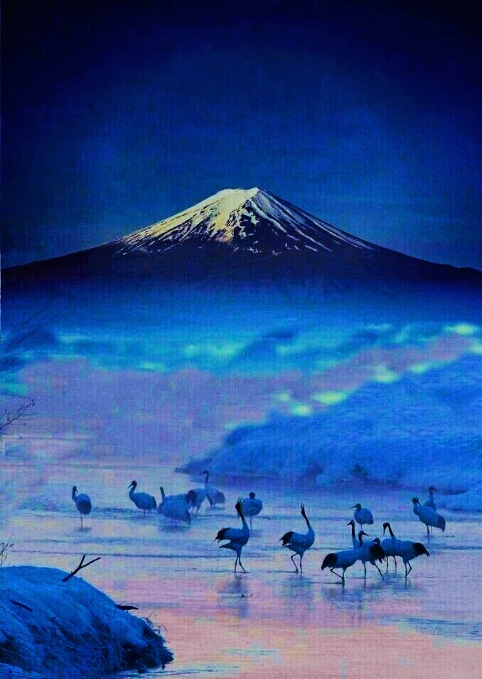 ANGELESBERMEJO1's tweet photo. Buenas noches
Good night 🖤💙 https://t.co/xs2qxNdRzu