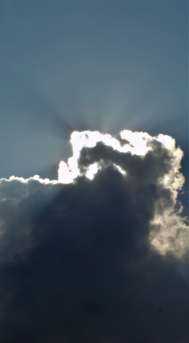 Iain McAuslan tweet media