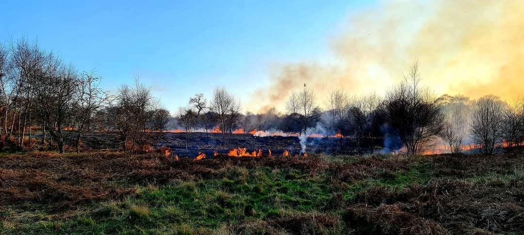 Action4Almond's tweet photo. Please be vigilant of activities happening in Mid Calder. So sad in a Site of Special Scientific Interest (SSSI). @TomU_SNP
@timson_dj @DrMoiraS @LoveWestLothian @BGSWestlothian https://t.co/A4ECRFUfQL