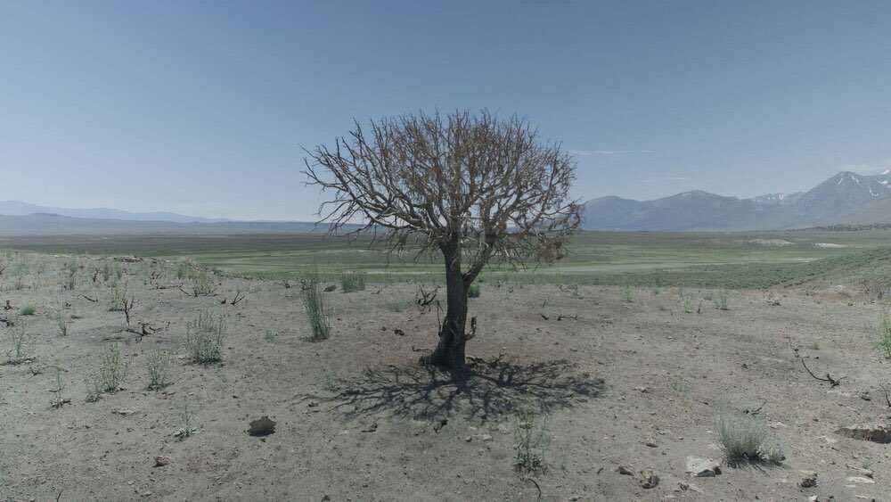 LongValleyGreen's tweet photo. TONIGHT: 6:30 PM (PST) the free “Without Water” film premiere and Q&A will be streaming to Twitter Live, Facebook Live, and YouTube Live. Don’t miss it!
Special thanks to @metabolic1745 https://t.co/s37DERl3yb