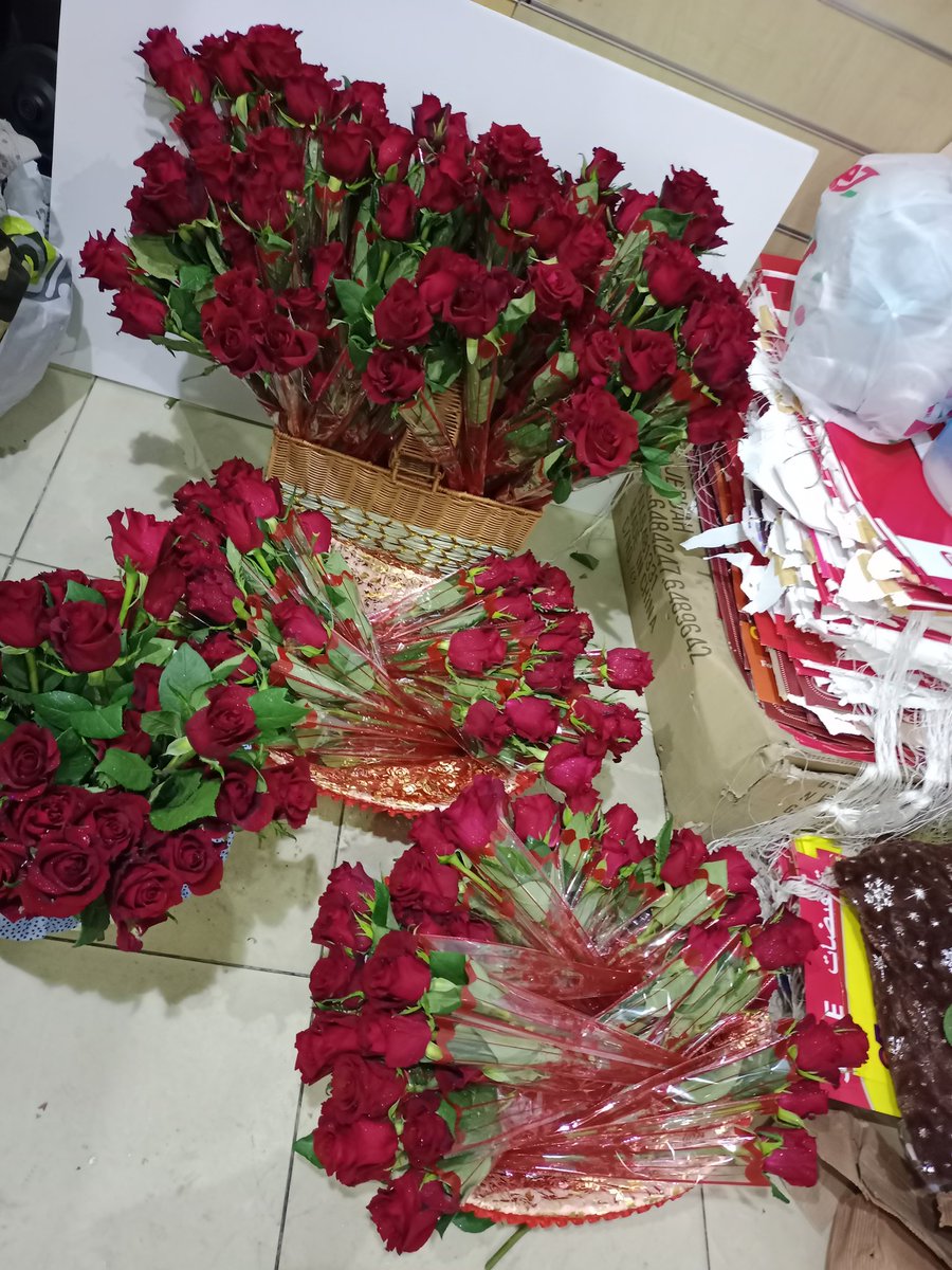 صقر العرب (@basherof2015) on Twitter photo 